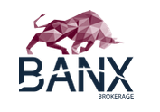 BANX Erfahrungen